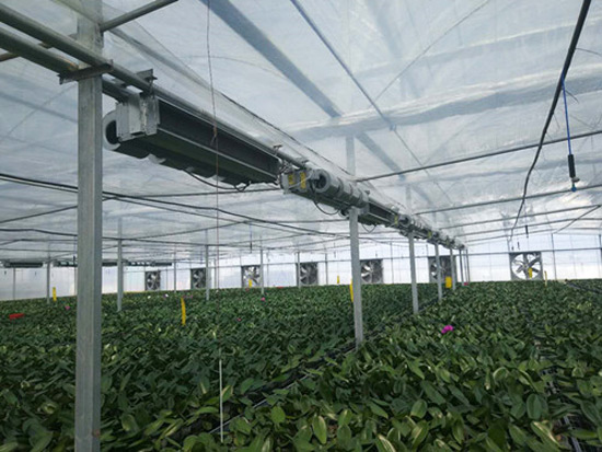 農(nóng)業(yè)種植、養(yǎng)殖供暖系統(tǒng)