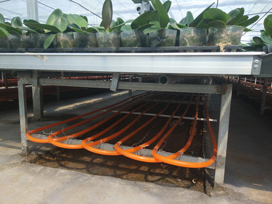 農(nóng)業(yè)種植、養(yǎng)殖地源熱泵供暖系統(tǒng)